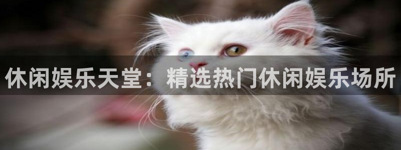 彩神vii官方