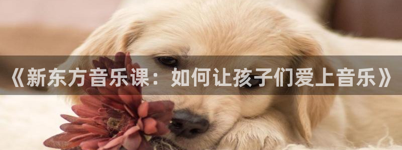 彩神vii官方